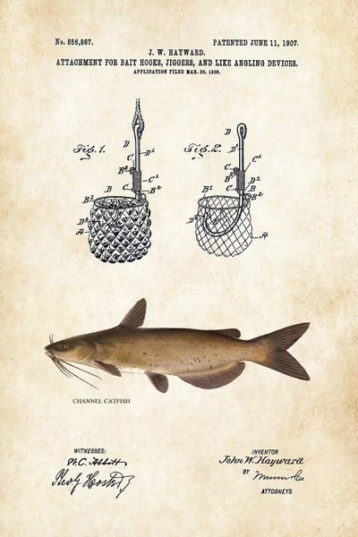Sports Blueprints: Channel Catfish Fishing Lure by Patent77