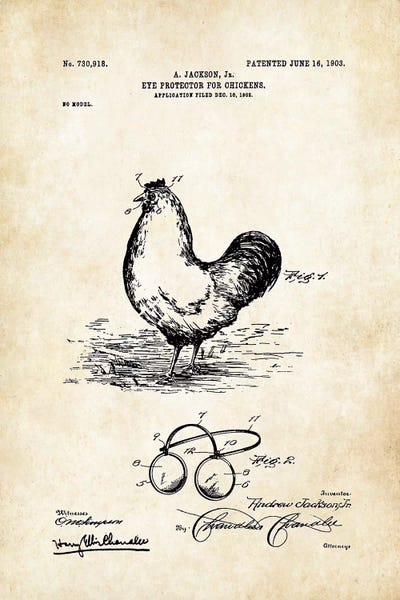 Modern Farmhouse Décor: Chicken Glasses by Patent77