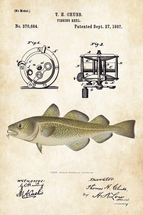 Cod Fishing Lure by Patent77 wall art