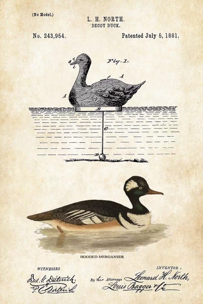 Hunting: Duck Decoy by Patent77