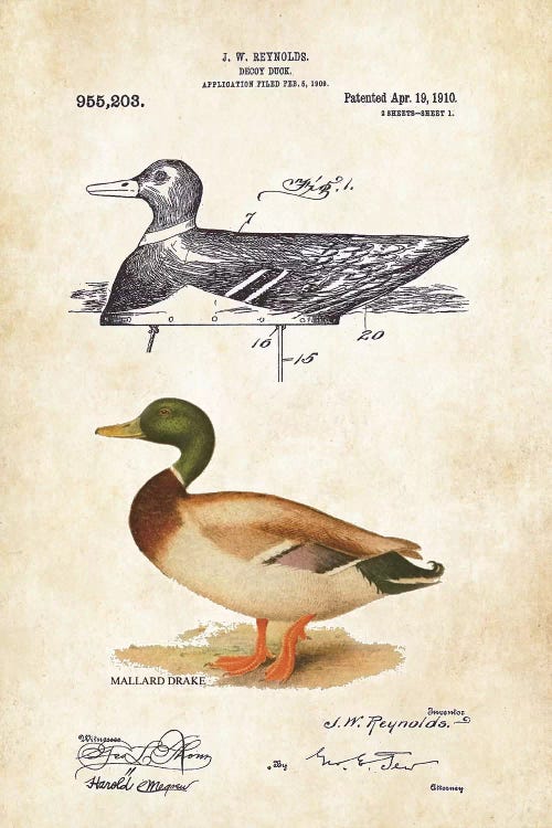 Duck Decoy by Patent77 wall art