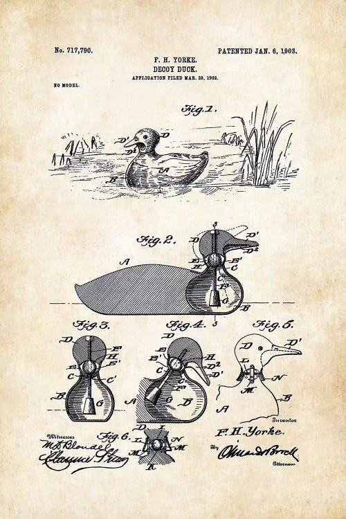 Duck Decoy (1903) by Patent77 wall art