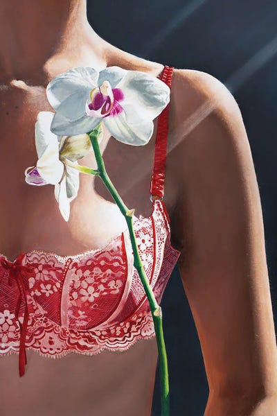 Hyperreal Portraits: Lace And Petals by Pretty Painter