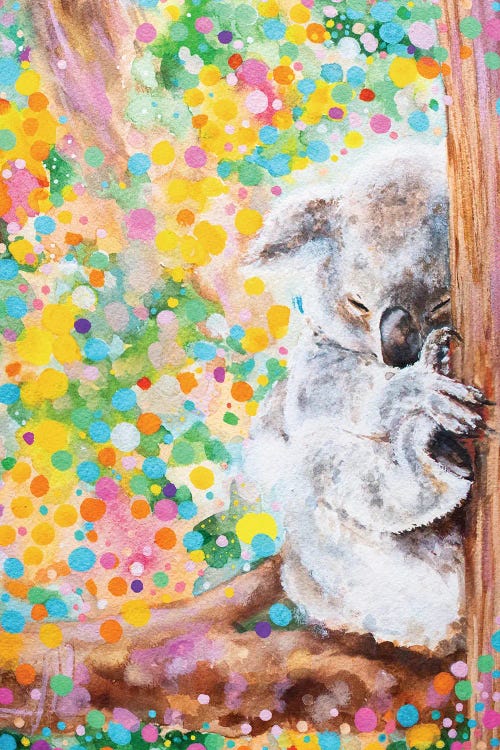Koala Dreaming