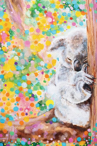 Koalas: Koala Dreaming by Pretty Painter