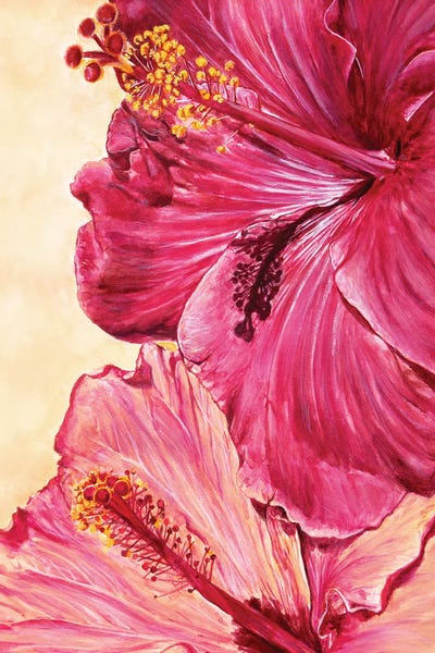 Pretty Painter: Hibiscus Blossoms by Pretty Painter