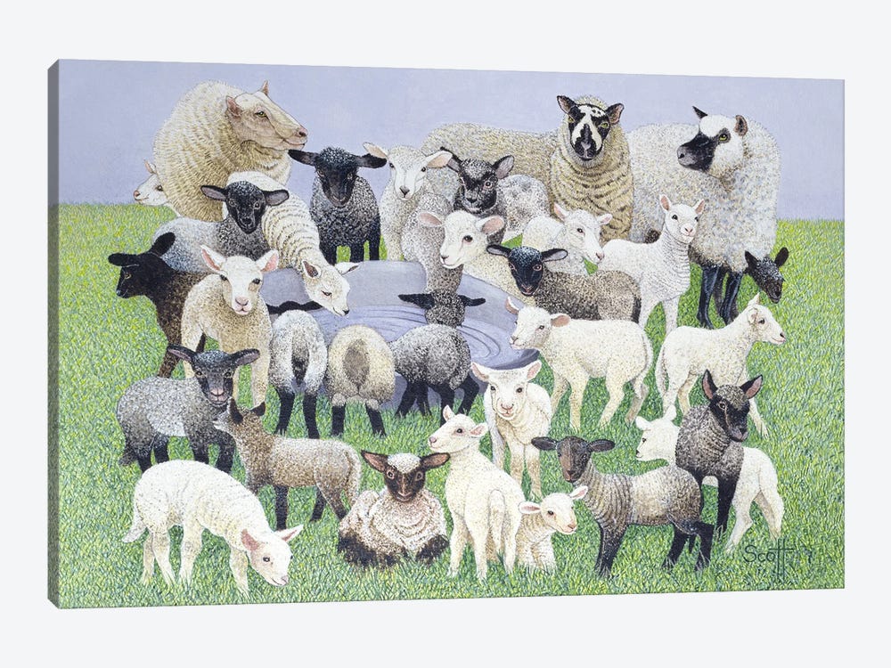 Feeling Sheepish by Pat Scott 1-piece Canvas Artwork