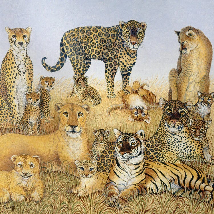The Big Cats