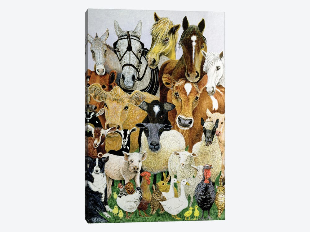 Animal Allsorts by Pat Scott 1-piece Canvas Print