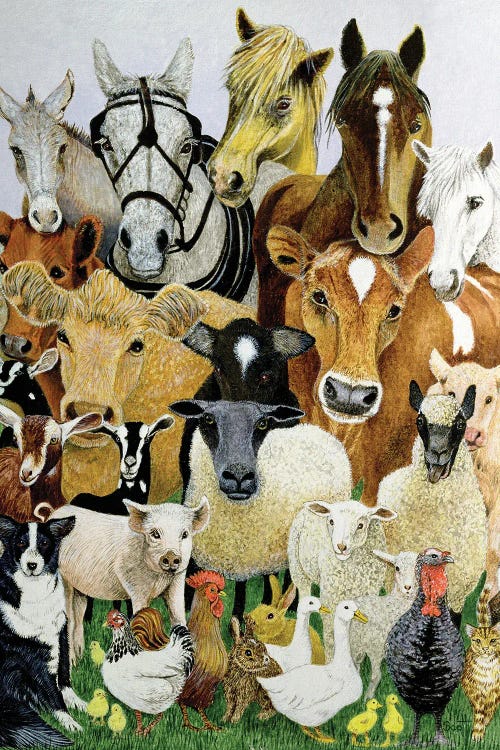 Animal Allsorts