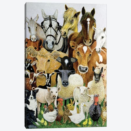 Animal Allsorts Canvas Print #PTS5} by Pat Scott Canvas Art Print