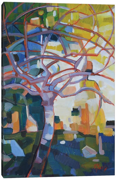 The Apple Tree in Winter Canvas Art Print - Patrick Marie