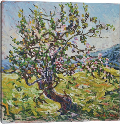 The Old Apple Tree Canvas Art Print - Artists Like Monet
