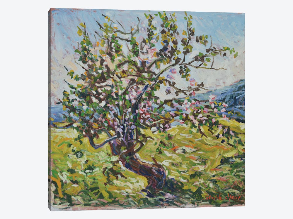The Old Apple Tree by Patrick Marie 1-piece Canvas Art Print