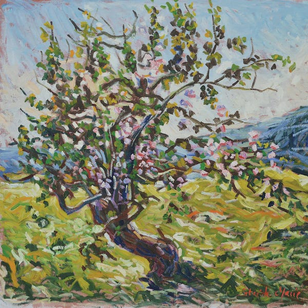 Patrick Marie: The Old Apple Tree by Patrick Marie