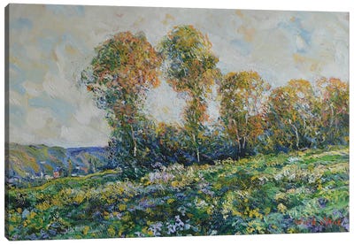 The Edge of the Forest - In the Morning Canvas Art Print - Artists Like Monet