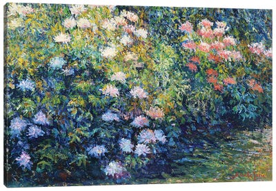 Bush of Rhododendrons Canvas Art Print - Artists Like Monet