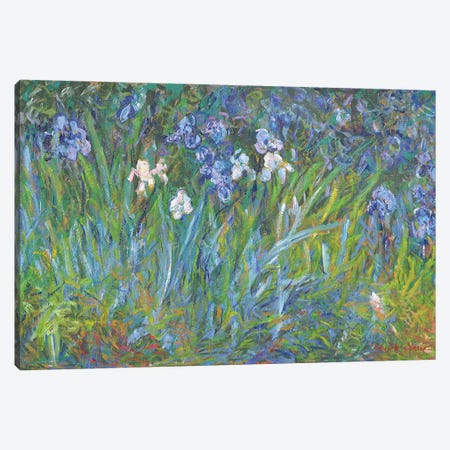 Bush of Irises in the Shade Canvas Print #PTX35} by Patrick Marie Canvas Print
