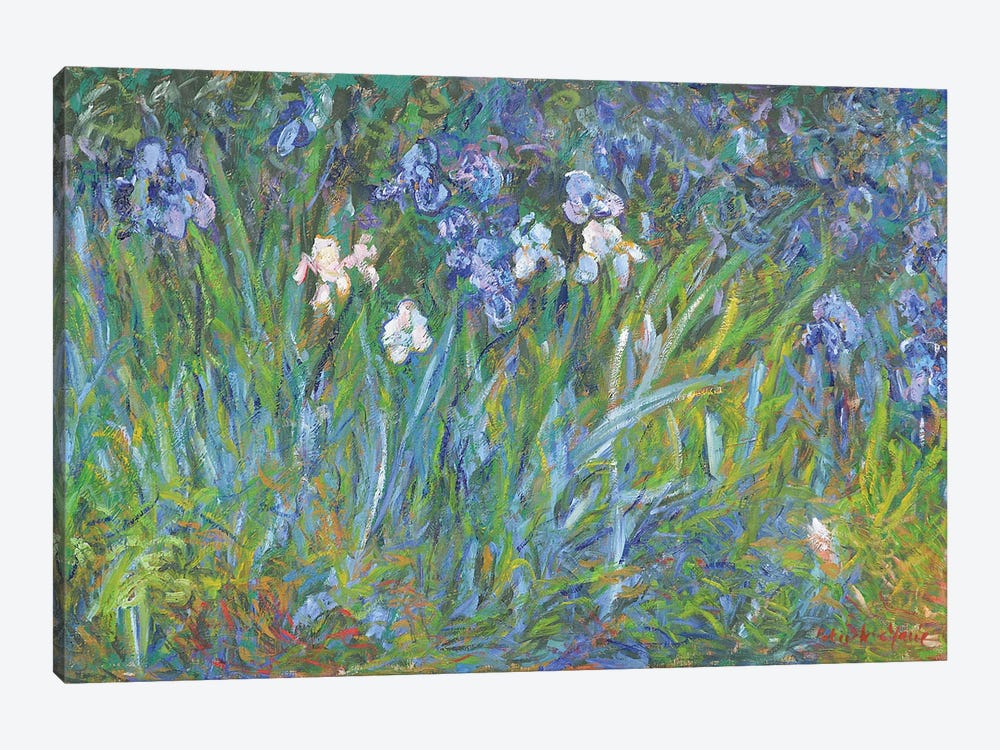Bush of Irises in the Shade by Patrick Marie 1-piece Canvas Art