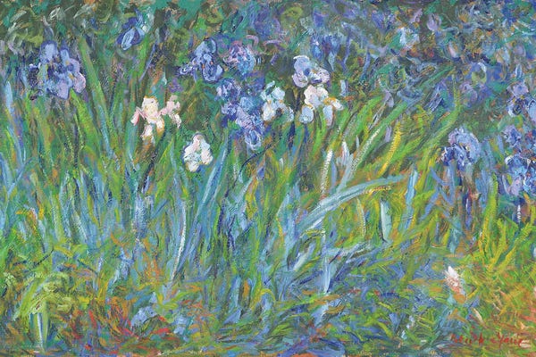 French Country Décor: Bush of Irises in the Shade by Patrick Marie