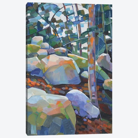 Rocky Forest Canvas Print #PTX41} by Patrick Marie Canvas Art Print