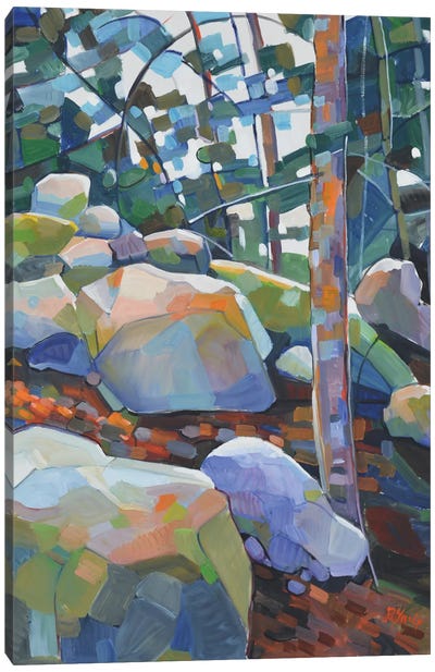 Rocky Forest Canvas Art Print - Mosaic Landscapes