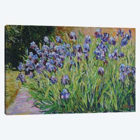 Bush of Irises Canvas Print #PTX49} by Patrick Marie Art Print