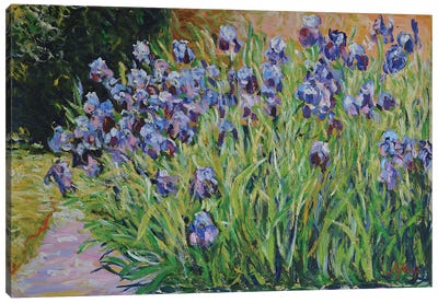 Bush of Irises Canvas Art Print - Iris Art