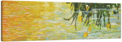 The Aquatic Basin II Canvas Art Print - Pond Art