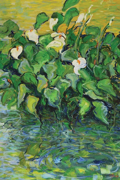 Calla Lilies: The Aquatic Basin III by Patrick Marie