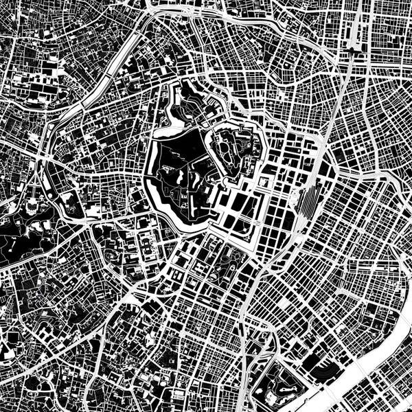 Tokyo Black And White