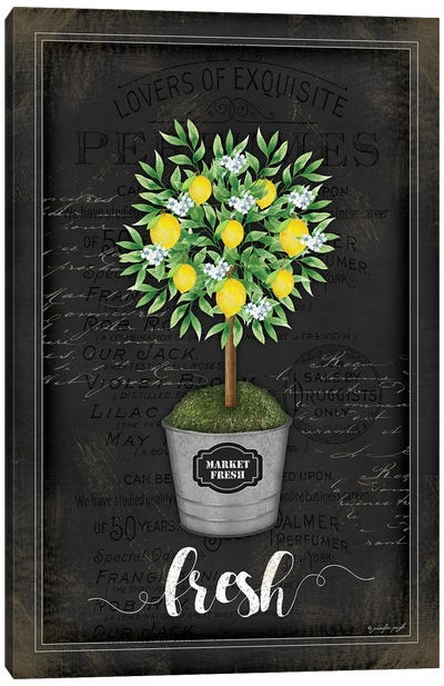 Lemon Topiary II Canvas Art Print
