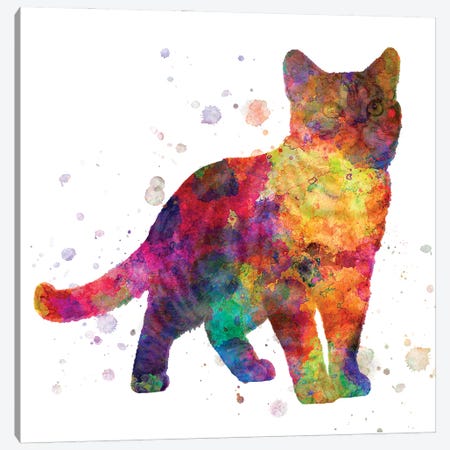 American Shorthair In Watercolor Canvas Print #PUR1189} by Paul Rommer Canvas Art Print