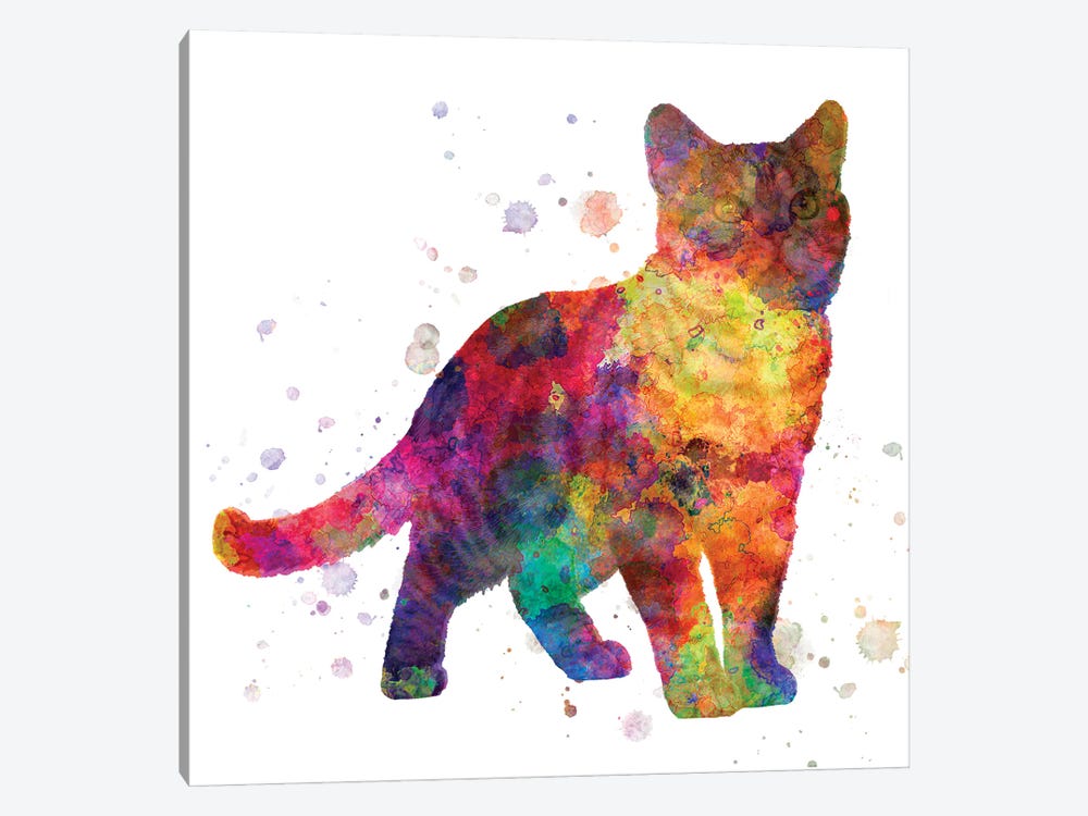 American Shorthair In Watercolor by Paul Rommer 1-piece Canvas Wall Art