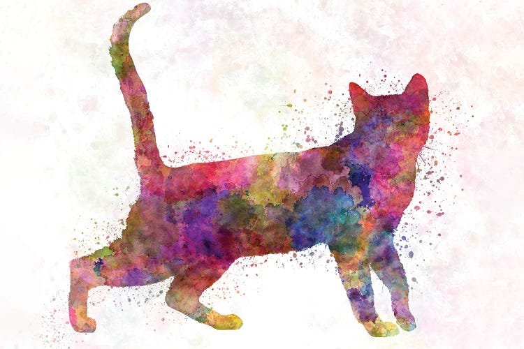 Bengali Cat In Watercolor