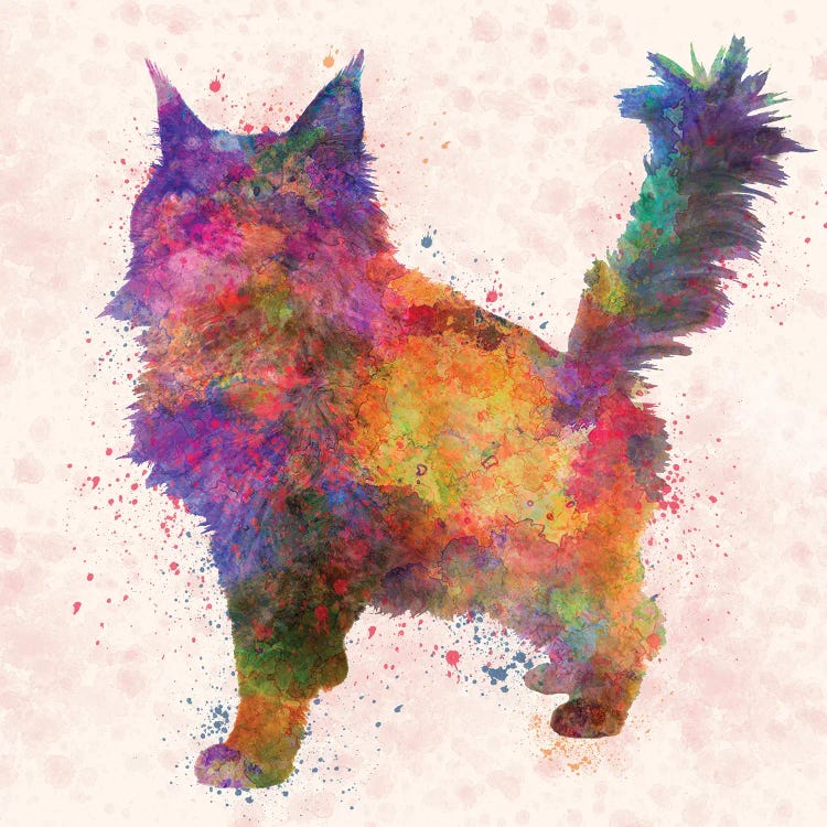 Maine Coon Cat In Watercolor