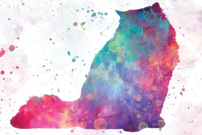 Persa Cat In Watercolor by Paul Rommer metal wall art