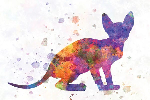 Hairless Cats: Peterbald Cat In Watercolor by Paul Rommer