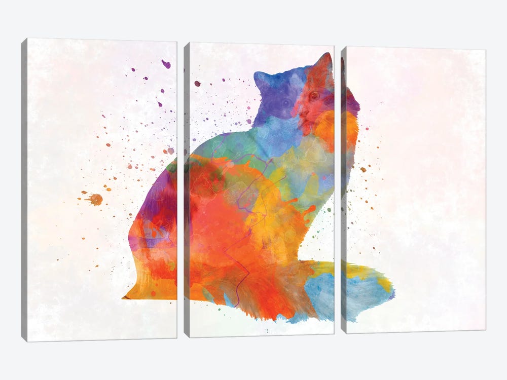 Rajamuffin Cat In Watercolor by Paul Rommer 3-piece Canvas Print