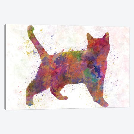 Russian Blue In Watercolor Canvas Print #PUR1212} by Paul Rommer Art Print