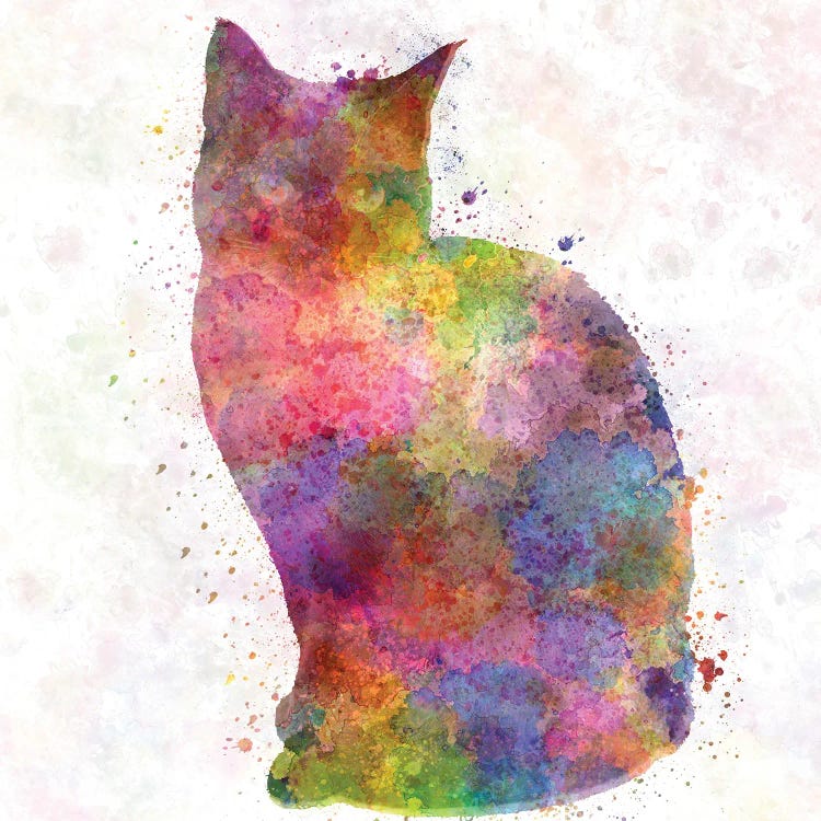 Siamese Cat In Watercolor by Paul Rommer wall art