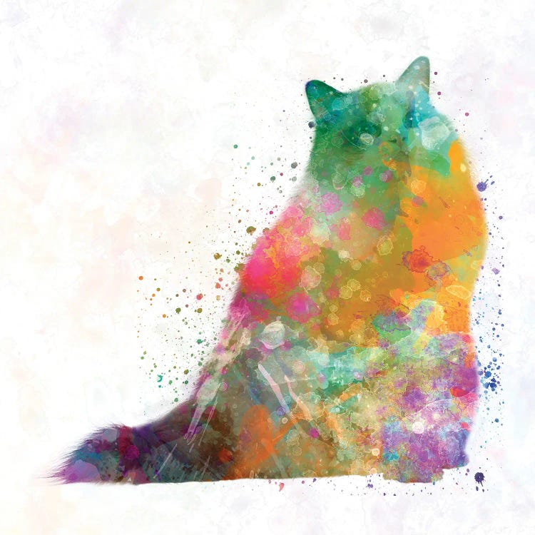 Turkish Angora In Watercolor