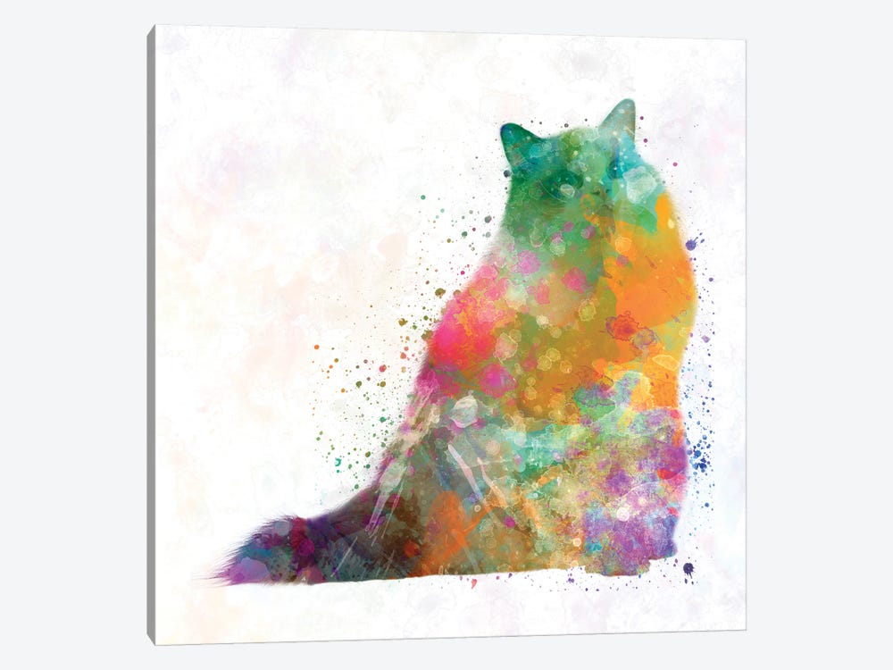 Turkish Angora In Watercolor by Paul Rommer 1-piece Canvas Wall Art
