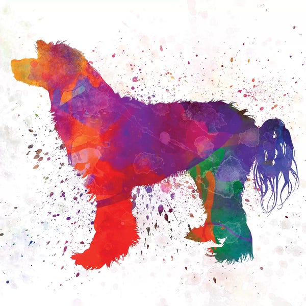 Chinese Crested: Chinese Crested Powder Puff In Watercolor by Paul Rommer