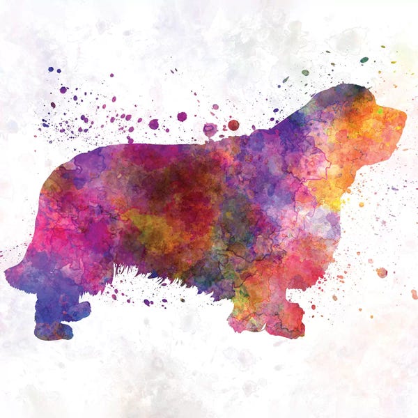 Paul Rommer: Clumber Spaniel In Watercolor by Paul Rommer