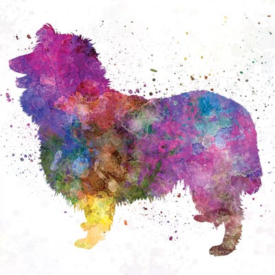 Collie In Watercolor by Paul Rommer framed wall art