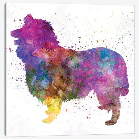 Collie In Watercolor Canvas Print #PUR146} by Paul Rommer Canvas Artwork