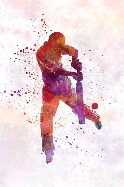 Cricket Player Batsman Silhouette I