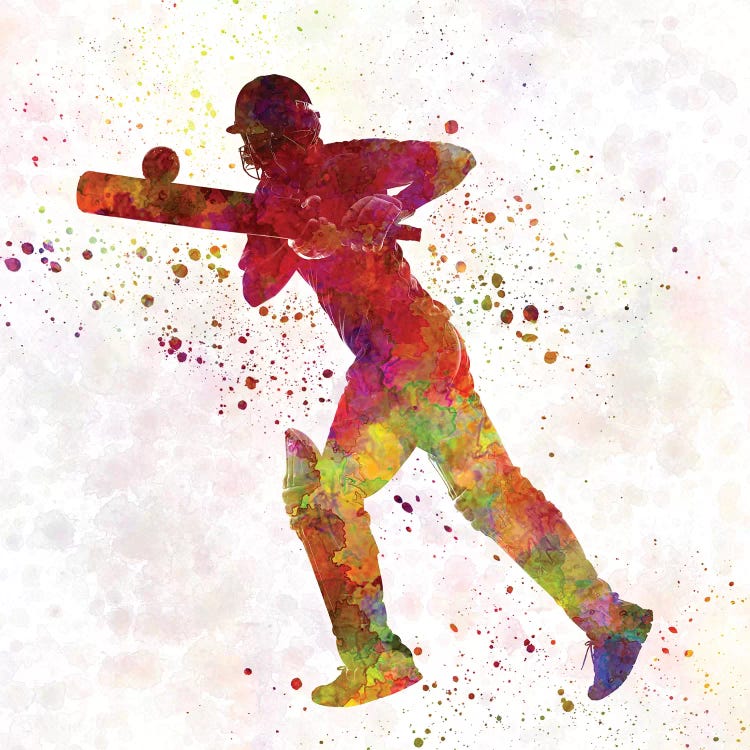 Cricket Player Batsman Silhouette VI