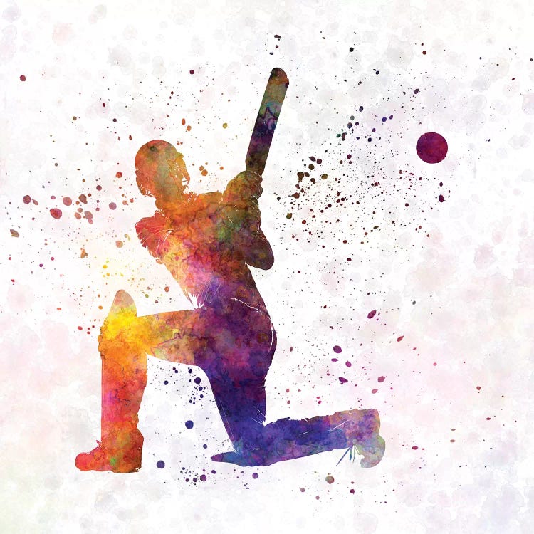 Cricket Player Batsman Silhouette VIII